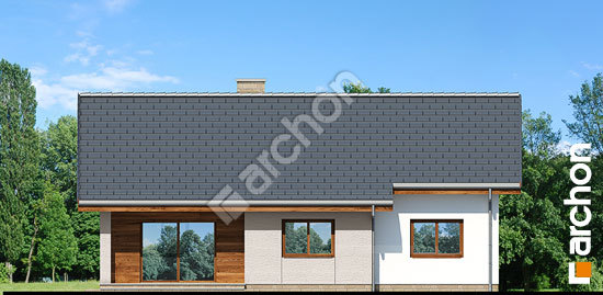 Дворовий фасад Будинок у вівсянниці