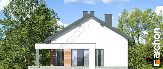 Бочний фасад Будинок в ромашках 3 (А)