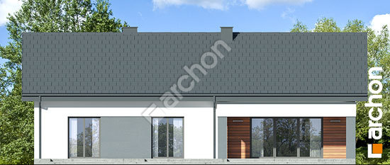 Дворовий фасад Будинок в ромашках 3 (А)