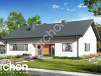 Проект дома ARCHON+ Дом в ромашках 3 (А) додаткова візуалізація