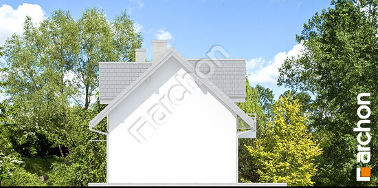 Бочний фасад Будинок в рубінах 2 (Б)