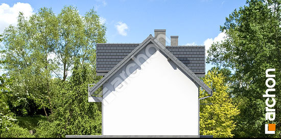 Боковой фасад Дом в рубинах 2 (Б)