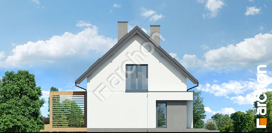 Боковой фасад Дом в хлорофитуме 10