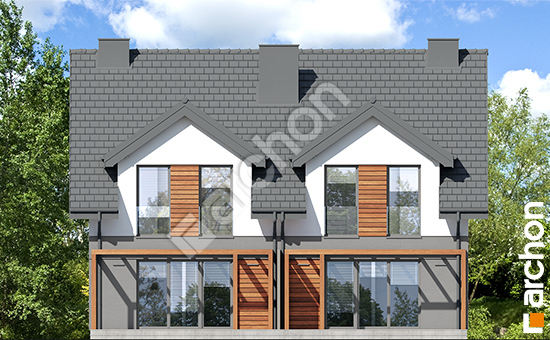 Дворовий фасад Будинок в рівіях 5 (ГР2) вер.2