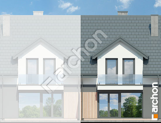 Дворовий фасад Будинок під гінко 19 (ГС)