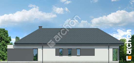 Бочний фасад Будинок в галантусах (Г2)