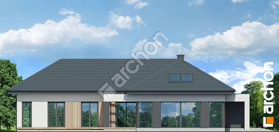 Бочний фасад Будинок в галантусах (Г2)