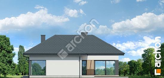 Дворовий фасад Будинок в галантусах (Г2)