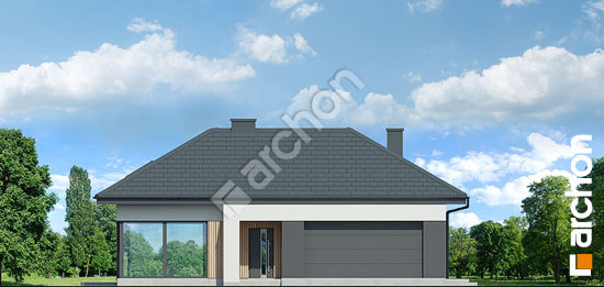 Передний фасад Дом в галантусах (Г2)