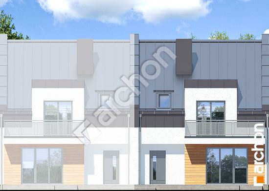 Дворовой фасад Дом под агавами 2 (С) вер. 2