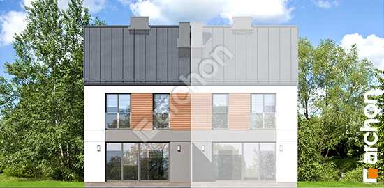 Дворовий фасад Будинок в рівіях (ГБ)