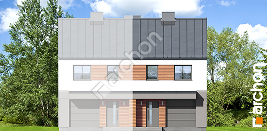 Передній фасад Будинок в рівіях (ГБ)