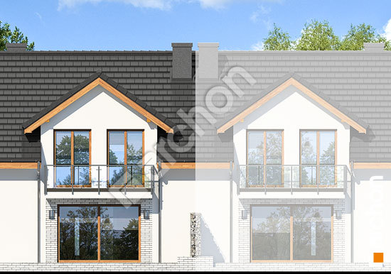 Дворовий фасад Будинок в клематисах 21 (С)