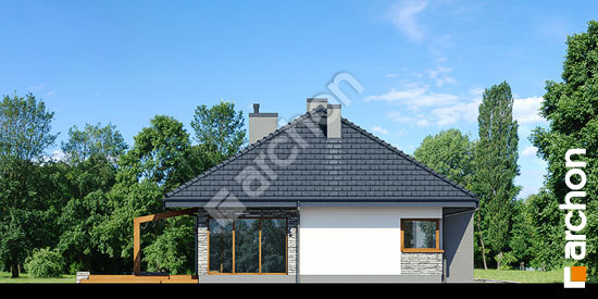 Бочний фасад Будинок в сантолінах