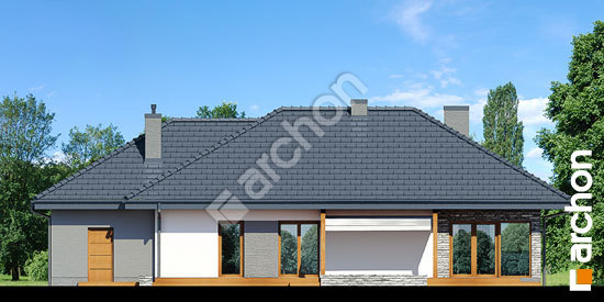 Дворовий фасад Будинок в сантолінах