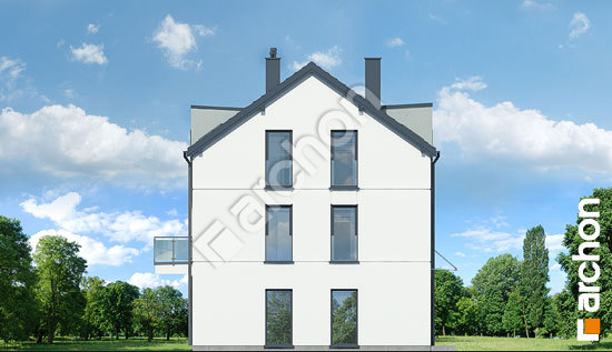 Бочний фасад Будинок в джунах (Б)