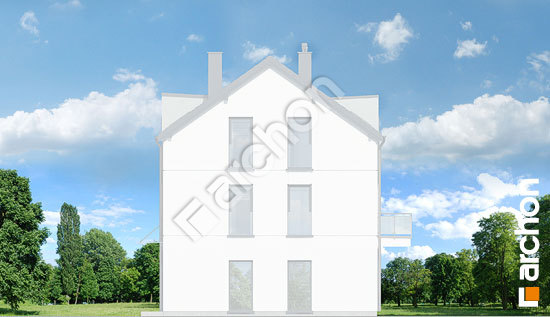 Боковой фасад Дом в джунах (Б)