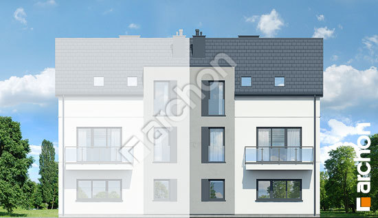 Дворовий фасад Будинок в джунах (Б)