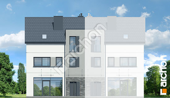 Передній фасад Будинок в джунах (Б)