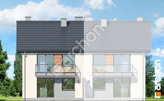 Дворовий фасад Будинок в фіалках (Р2Б) вер.3