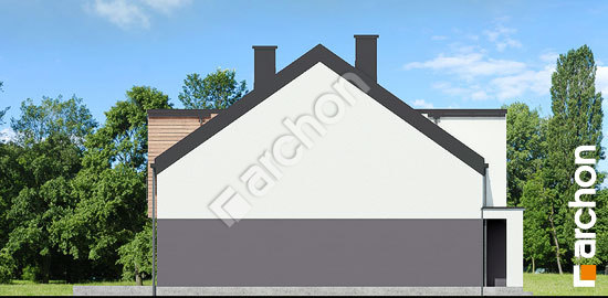 Бочний фасад Будинок під гінко 7 (ГБНА)