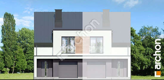 Передній фасад Будинок під гінко 7 (ГБНА)