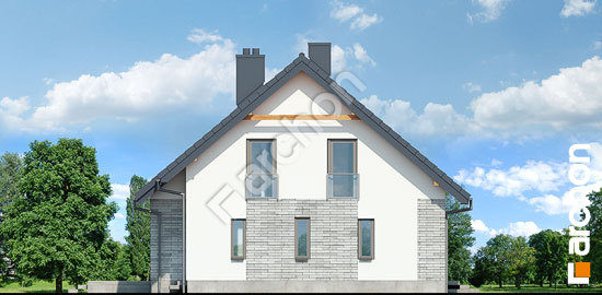 Бочний фасад Будинок в аурорах 2