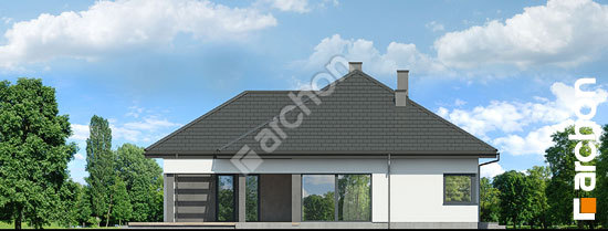 Бочний фасад Будинок в підсніжниках 18 (Г2Е)