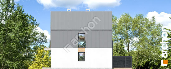 Бочний фасад Будинок в аркадіях 3 (ГР2)