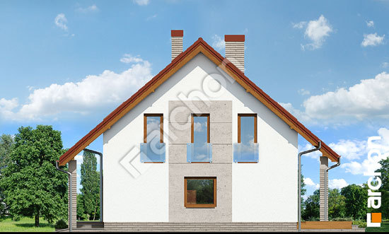 Боковой фасад Дом в красотах 2