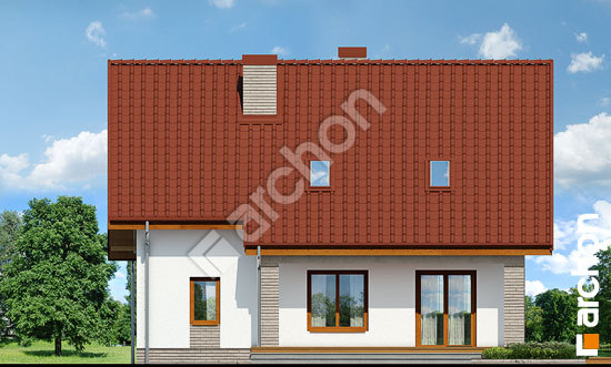 Дворовий фасад Будинок в красивоягідниках 2