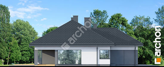 Бочний фасад Будинок в підсніжниках 20 (Г2)