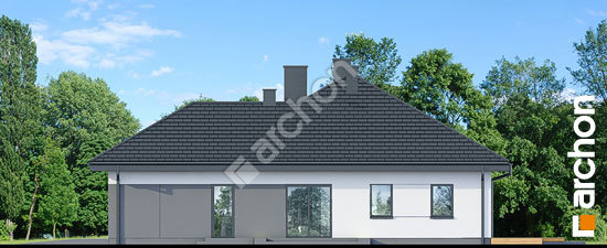 Бочний фасад Будинок в підсніжниках 20 (Г2)