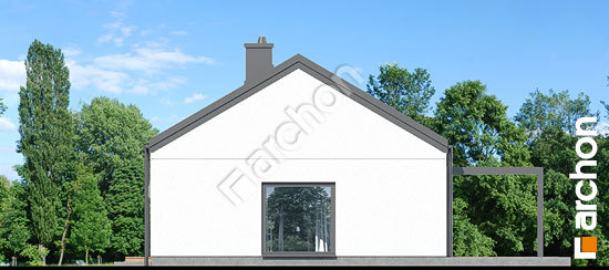 Бочний фасад Будинок у вівсянниці 11