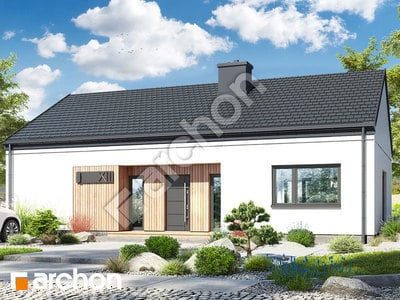 Проєкт будинку ARCHON+ Будинок у вівсянниці 11 