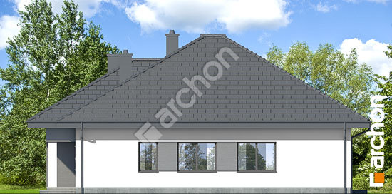 Бочний фасад Будинок в нігеллах 3