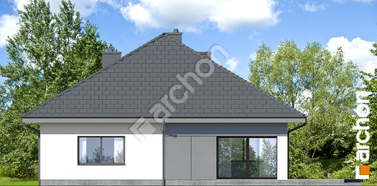 Дворовий фасад Будинок в нігеллах 3