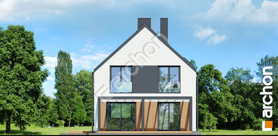 Дворовий фасад Будинок в рододендронах 29