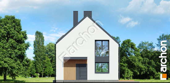 Передній фасад Будинок в рододендронах 29