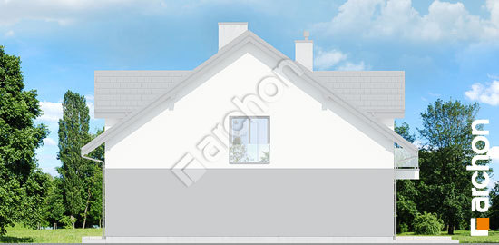 Боковой фасад Дом под гинко 21 (ГБ)