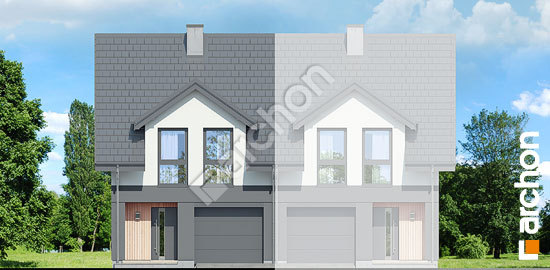 Передній фасад Будинок під гінко 21 (ГБ)