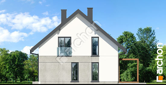 Боковой фасад Дом под акацией