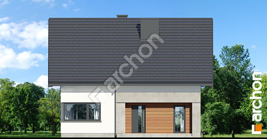 Передний фасад Дом под акацией