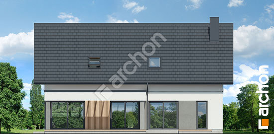 Дворовий фасад Будинок під персиками (Г2Е) ВДЕ