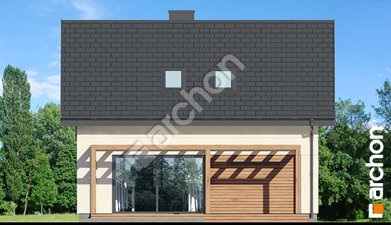 Дворовой фасад Дом в самшите (Г)