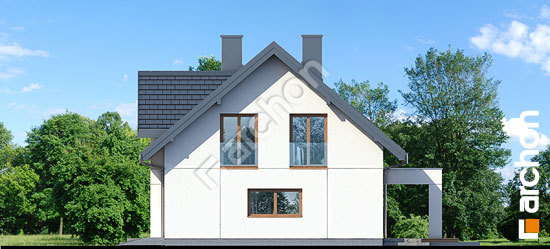 Боковой фасад Дом в коммифорах 4