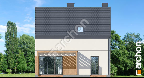 Дворовий фасад Будинок в хлорофітумі 24