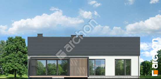 Дворовий фасад Будинок в ірисах 2 (Н) вер. 2