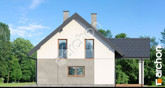 Бочний фасад Будинок в ізопірумі 9