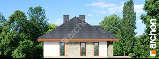 Дворовой фасад Дом в кипарисах вер. 2